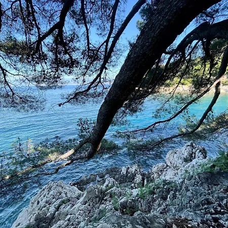 Domenica Villa Kostrena