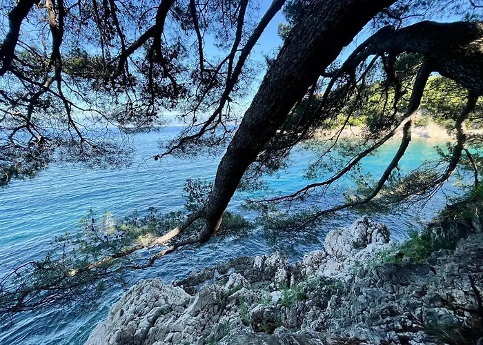 Domenica Villa Kostrena