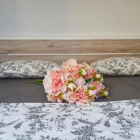 Domenica * Kostrena