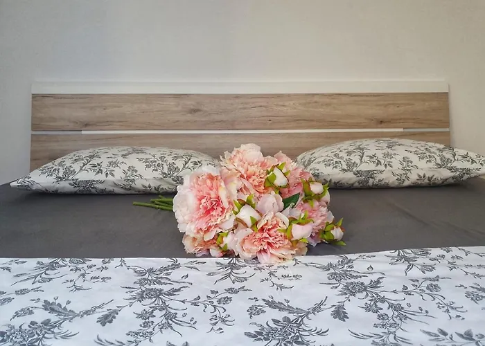 Domenica * 코스트레나